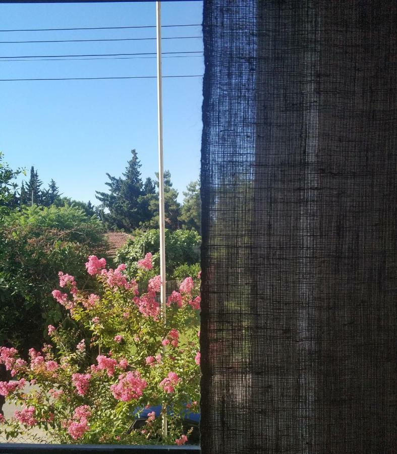 El Mundo Homestay *